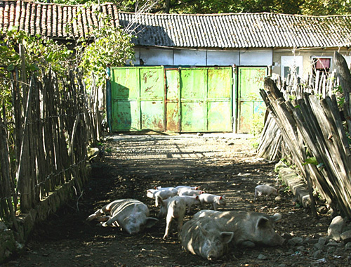 A dwelling house in Perevi village, Georgia, October 2010. Photo by http://springator.livejournal.com A dwelling house in Perevi village, Georgia, October 2010. Photo by http://springator.livejournal.com