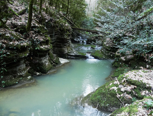 The Dzykhrin Gorge in Sochi. Photo from Valery Suchkov’s blog, http://blogsochi.ru/ The Dzykhrin Gorge in Sochi. Photo from Valery Suchkov’s blog, http://blogsochi.ru/