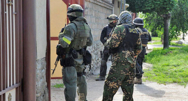 Special operation. Photo http://nac.gov.ru/ Special operation. Photo http://nac.gov.ru/