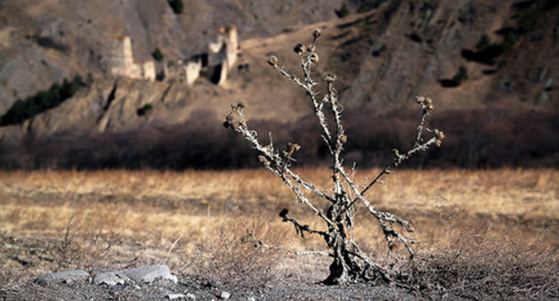 Gornaya Ingushetia. Photo http://www.ingushetia.ru/photo/archives/020055.shtml Gornaya Ingushetia. Photo http://www.ingushetia.ru/photo/archives/020055.shtml