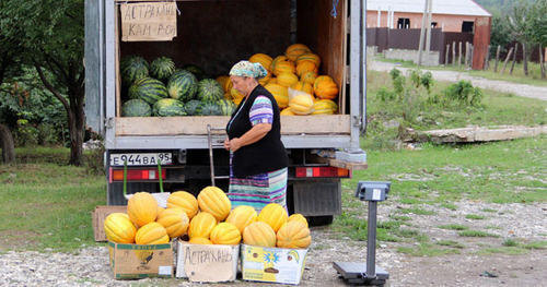 Selling melons and water-melons in the village of Lakha-Varandy. Chechnya, September 2014. Photo by Magomed Magomedov for the "Caucasian Knot" Selling melons and water-melons in the village of Lakha-Varandy. Chechnya, September 2014. Photo by Magomed Magomedov for the "Caucasian Knot"