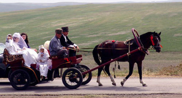 Ingushetia, wedding. Photo: http://ingushetia.ru/ Ingushetia, wedding. Photo: http://ingushetia.ru/