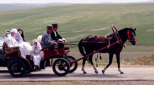 Ingushetia, wedding. Photo: http://ingushetia.ru/ Ingushetia, wedding. Photo: http://ingushetia.ru/