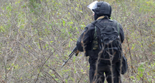 Law enforcement officer. Photo: http://nac.gov.ru Law enforcement officer. Photo: http://nac.gov.ru