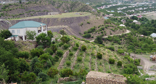 Terrace in the Untsukul District of Dagestan. Photo by Aida Magomedova for the "Caucasian Knot" Terrace in the Untsukul District of Dagestan. Photo by Aida Magomedova for the "Caucasian Knot"