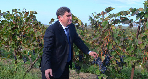 Minister of Agriculture and Foodstuffs of Dagestan Batal Batalov. Photo: http://mcxrd.ru/?id=1390760426/1390761847/1391670035&parm=gl-%3E1390760426/1390761847/1391670035/1412168837 Minister of Agriculture and Foodstuffs of Dagestan Batal Batalov. Photo: http://mcxrd.ru/?id=1390760426/1390761847/1391670035&parm=gl-%3E1390760426/1390761847/1391670035/1412168837