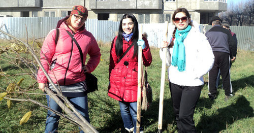 Participants of ecological action ‘Days of Green Culture’. Nalchik, November 9, 2014, Photo by Lyudmila Maratova for the ‘Caucasian Knot’. Participants of ecological action ‘Days of Green Culture’. Nalchik, November 9, 2014, Photo by Lyudmila Maratova for the ‘Caucasian Knot’.