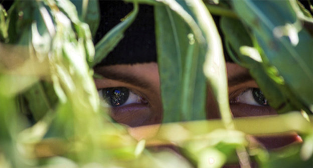 Military exercises in Russia. Photo by Yuri Dmitriev, Vitaly Nevara, Vladimir Dashevsky. http://structure.mil.ru/structure/forces/airborne/more/photo/gallery.htm?id=16945@cmsPhotoGallery Military exercises in Russia. Photo by Yuri Dmitriev, Vitaly Nevara, Vladimir Dashevsky. http://structure.mil.ru/structure/forces/airborne/more/photo/gallery.htm?id=16945@cmsPhotoGallery