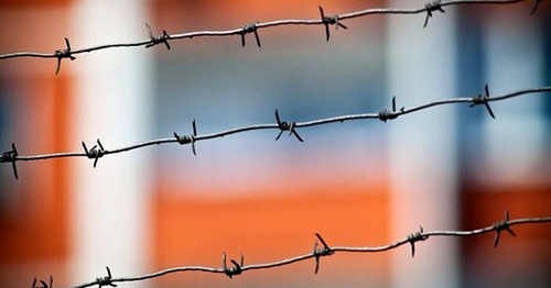 Barbed wire. Photo: Yuri Grechko/Yugopolis Barbed wire. Photo: Yuri Grechko/Yugopolis
