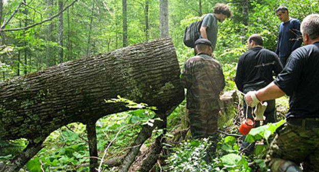 EcoWatch members monitoring logging process in the vicinity of the Shumichka river. Photo: http://www.ewnc.org/?q=node/356 EcoWatch members monitoring logging process in the vicinity of the Shumichka river. Photo: http://www.ewnc.org/?q=node/356