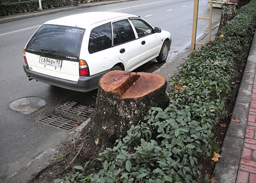 Sochi. Photo by the "Caucasian Knot" Sochi. Photo by the "Caucasian Knot"