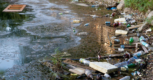Garbage on the shore of Lake Karasun in Krasnodar. Photo: Yuliya Simatova / Yugopolis