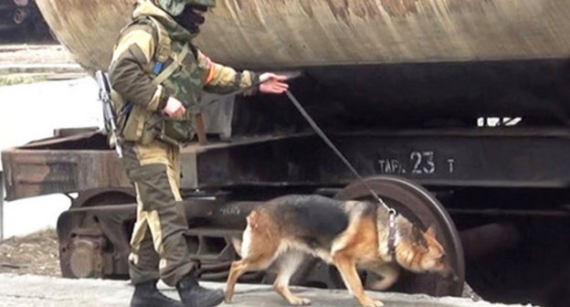 A law enforcer. Photo http://nac.gov.ru/ A law enforcer. Photo http://nac.gov.ru/