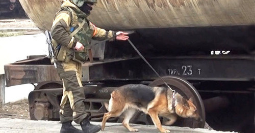 A law enforcer. Photo http://nac.gov.ru/ A law enforcer. Photo http://nac.gov.ru/
