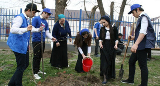 Planting trees in the school territories of the educational institutions of Chechnya. April 2015. Photo http://chechnyatoday.com/content/view/278231'