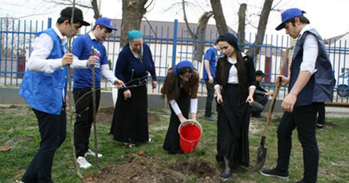 Planting trees in the school territories of the educational institutions of Chechnya. April 2015. Photo http://chechnyatoday.com/content/view/278231' Planting trees in the school territories of the educational institutions of Chechnya. April 2015. Photo http://chechnyatoday.com/content/view/278231'