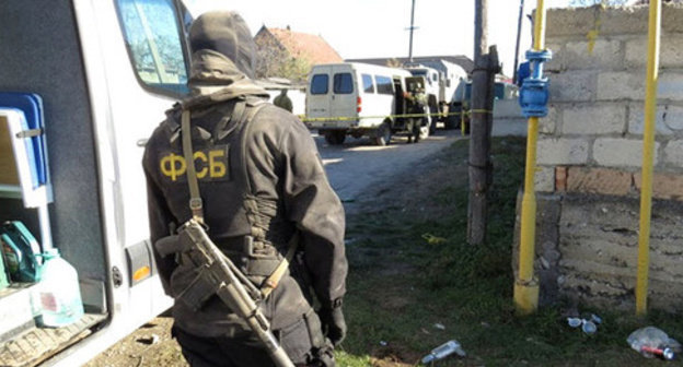 The law enforcer. Photo http://nac.gov.ru/ The law enforcer. Photo http://nac.gov.ru/