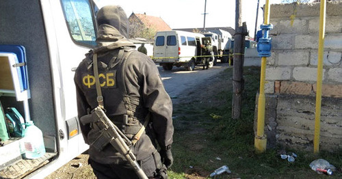 The law enforcer. Photo http://nac.gov.ru/ The law enforcer. Photo http://nac.gov.ru/