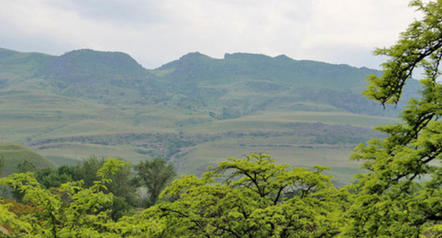 A mountain forest zone. Dagestan, May 15, 2015. Photo by Magomed Magomedov for the "Caucasian Knot" A mountain forest zone. Dagestan, May 15, 2015. Photo by Magomed Magomedov for the "Caucasian Knot"