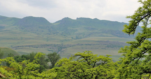 A mountain forest zone. Dagestan, May 15, 2015. Photo by Magomed Magomedov for the "Caucasian Knot" A mountain forest zone. Dagestan, May 15, 2015. Photo by Magomed Magomedov for the "Caucasian Knot"