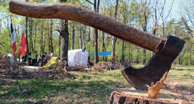 In Taman Forest. Photo: http://bloknot-stavropol.ru/news/sudba-perinatalnogo-tsentra-reshena-600326?sphrase_id=78697 In Taman Forest. Photo: http://bloknot-stavropol.ru/news/sudba-perinatalnogo-tsentra-reshena-600326?sphrase_id=78697