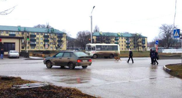 Grozny, Staropromyslov District. Photo by Akhmed Aldebirov for the "Caucasian Knot" Grozny, Staropromyslov District. Photo by Akhmed Aldebirov for the "Caucasian Knot"