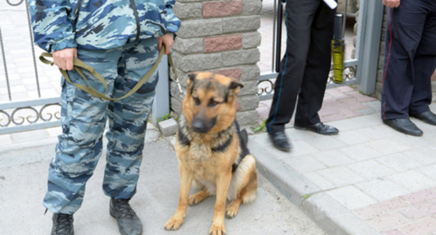 Cynologist with a dog near the building of the North-Caucasian District Military Court. Rostov-on-Don. Photo by Oleg Pchyolov for the "Caucasian Knot"