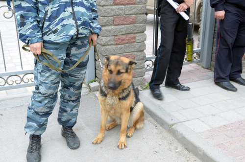 Cynologist with a dog near the building of the North-Caucasian District Military Court. Rostov-on-Don. Photo by Oleg Pchyolov for the "Caucasian Knot"