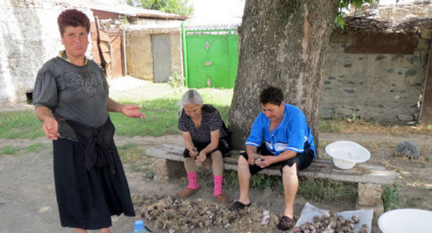 The residents of the frontier village Talish state that they got used to the shooting sounds. Nagorno-Karabakh, Martakert Region, June 2014. Photo by Alvard Grigoryan for the "Caucasian Knot" The residents of the frontier village Talish state that they got used to the shooting sounds. Nagorno-Karabakh, Martakert Region, June 2014. Photo by Alvard Grigoryan for the "Caucasian Knot"