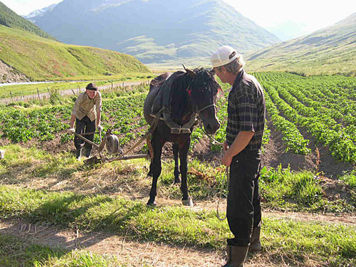 North Ossetia, Alagir District. Peasants from Bad mountainous village at tillage. Photo by the "Caucasian Knot" North Ossetia, Alagir District. Peasants from Bad mountainous village at tillage. Photo by the "Caucasian Knot"