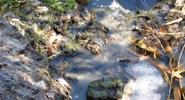 Untreated sewage of Dzerzhinskiy District of Volgograd gets into ponds polluting the Volga river. Volgograd, August 2015. Photo by Vyacheslav Yaschenko for the ‘Caucasian Knot’. Untreated sewage of Dzerzhinskiy District of Volgograd gets into ponds polluting the Volga river. Volgograd, August 2015. Photo by Vyacheslav Yaschenko for the ‘Caucasian Knot’.