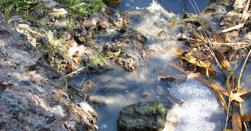 Untreated sewage of Dzerzhinskiy District of Volgograd gets into ponds polluting the Volga river. Volgograd, August 2015. Photo by Vyacheslav Yaschenko for the ‘Caucasian Knot’. Untreated sewage of Dzerzhinskiy District of Volgograd gets into ponds polluting the Volga river. Volgograd, August 2015. Photo by Vyacheslav Yaschenko for the ‘Caucasian Knot’.