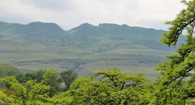 Forest highlands in Dagestan. Photo by Magomed Magomedov for the "Caucasian Knot"