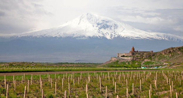 Vineyards in the Ararat Region. Armenia. Photo: Maks Karochkin https://ru.wikipedia.org Vineyards in the Ararat Region. Armenia. Photo: Maks Karochkin https://ru.wikipedia.org
