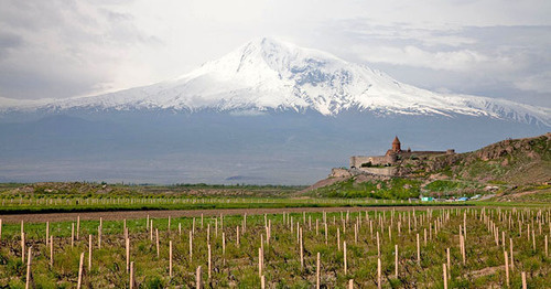 Vineyards in the Ararat Region. Armenia. Photo: Maks Karochkin https://ru.wikipedia.org Vineyards in the Ararat Region. Armenia. Photo: Maks Karochkin https://ru.wikipedia.org