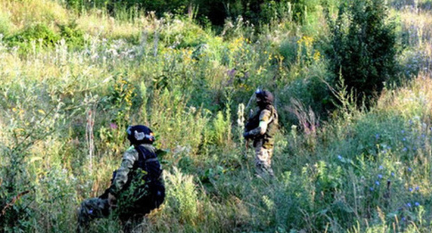 Special operation. Photo http://nac.gov.ru/ Special operation. Photo http://nac.gov.ru/