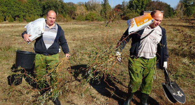 Roman and Vladimir Milchenko plant out seedlings in the territory of SFedU Botanical Garden, 17.10.2015. Photo: the official page of the "Green Union" at Facebook https://www.facebook.com/greenunion.ru?fref=photo Roman and Vladimir Milchenko plant out seedlings in the territory of SFedU Botanical Garden, 17.10.2015. Photo: the official page of the "Green Union" at Facebook https://www.facebook.com/greenunion.ru?fref=photo