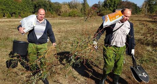 Roman and Vladimir Milchenko plant out seedlings in the territory of SFedU Botanical Garden, 17.10.2015. Photo: the official page of the "Green Union" at Facebook https://www.facebook.com/greenunion.ru?fref=photo Roman and Vladimir Milchenko plant out seedlings in the territory of SFedU Botanical Garden, 17.10.2015. Photo: the official page of the "Green Union" at Facebook https://www.facebook.com/greenunion.ru?fref=photo