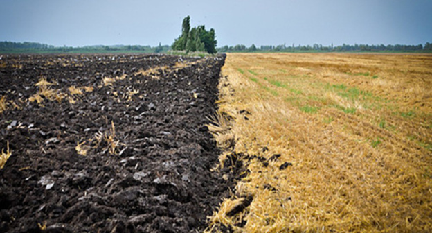 Agricultural land. Photo: https://www.yuga.ru/news/246611/ Agricultural land. Photo: https://www.yuga.ru/news/246611/