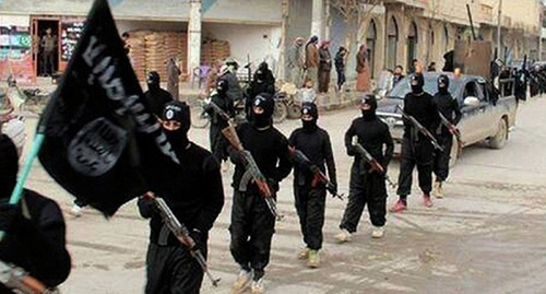 Militants of the "Islamic State" which is recognized as a terrorist organization in Russia. Photo: voenkor.info Militants of the "Islamic State" which is recognized as a terrorist organization in Russia. Photo: voenkor.info