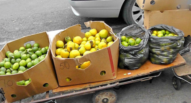 Fruit market on the Abkhazia–Russia border. Photo by Anna Gritsevich for the "Caucasian Knot" Fruit market on the Abkhazia–Russia border. Photo by Anna Gritsevich for the "Caucasian Knot"