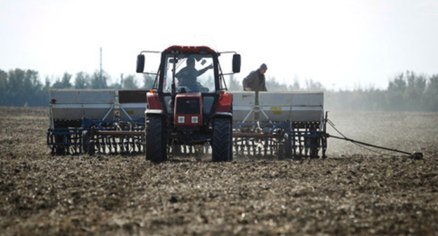 Farm work. Photo: https://www.yuga.ru/news/391876 Farm work. Photo: https://www.yuga.ru/news/391876