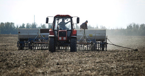 Farm work. Photo: https://www.yuga.ru/news/391876 Farm work. Photo: https://www.yuga.ru/news/391876