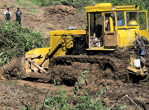Extermination of tea plantation on the territory All-Russia Research Institute of Horticulture and Sub-tropical Plants in Sochi. June 30, 2010. Photo by the "Caucasian Knot" Extermination of tea plantation on the territory All-Russia Research Institute of Horticulture and Sub-tropical Plants in Sochi. June 30, 2010. Photo by the "Caucasian Knot"