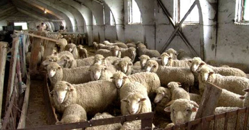 Farm in Dagestan. Photo: http://www.riadagestan.ru/ Farm in Dagestan. Photo: http://www.riadagestan.ru/