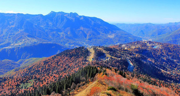 The Sochi Natural Reserve. Photo: SKas https://ru.wikipedia.org/ The Sochi Natural Reserve. Photo: SKas https://ru.wikipedia.org/