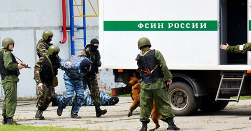 The special operation. Photo http://nac.gov.ru/ The special operation. Photo http://nac.gov.ru/