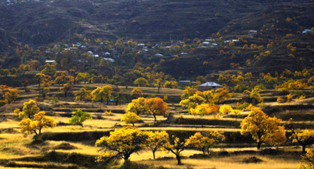 The village of Goor-Khindakh of the Shamil District of Dagestan. Photo: Magomed Shapiev http://odnoselchane.ru/ The village of Goor-Khindakh of the Shamil District of Dagestan. Photo: Magomed Shapiev http://odnoselchane.ru/