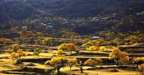 The village of Goor-Khindakh of the Shamil District of Dagestan. Photo: Magomed Shapiev http://odnoselchane.ru/ The village of Goor-Khindakh of the Shamil District of Dagestan. Photo: Magomed Shapiev http://odnoselchane.ru/