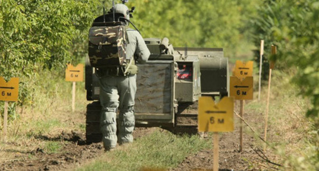Demining the land. Photo: Sputnik/Said Tsarnaev Demining the land. Photo: Sputnik/Said Tsarnaev